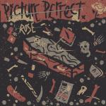 Picture Perfect - Rose