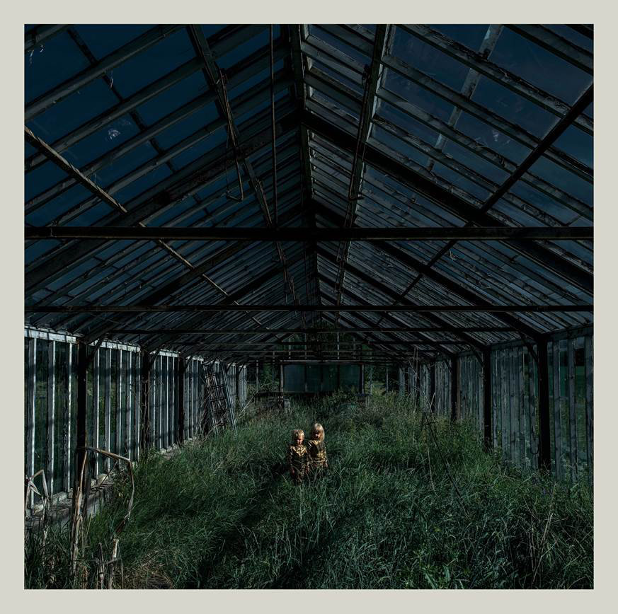 Foxing - Dealer
