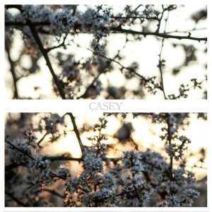 EP - Casey